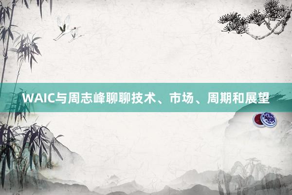 WAIC与周志峰聊聊技术、市场、周期和展望