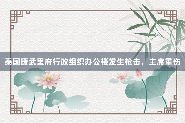 泰国暖武里府行政组织办公楼发生枪击，主席重伤