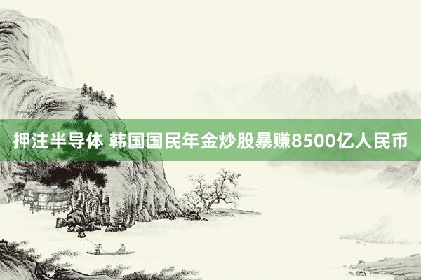 押注半导体 韩国国民年金炒股暴赚8500亿人民币