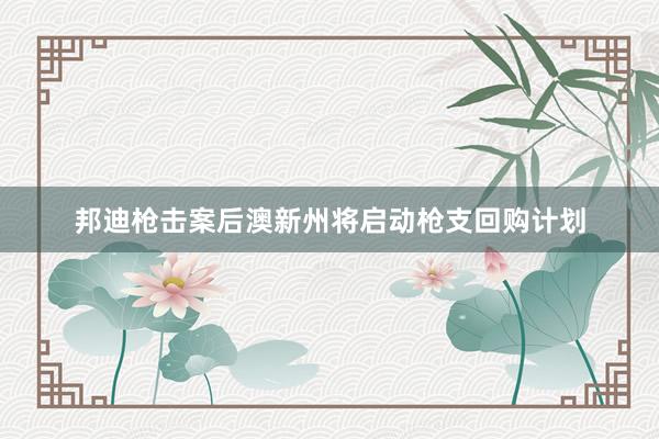 邦迪枪击案后澳新州将启动枪支回购计划