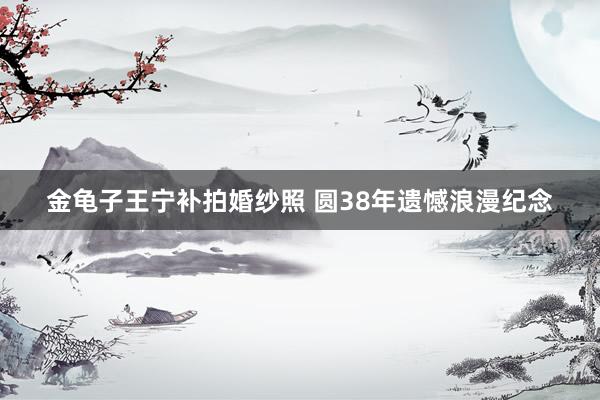 金龟子王宁补拍婚纱照 圆38年遗憾浪漫纪念