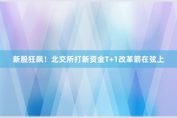 新股狂飙！北交所打新资金T+1改革箭在弦上