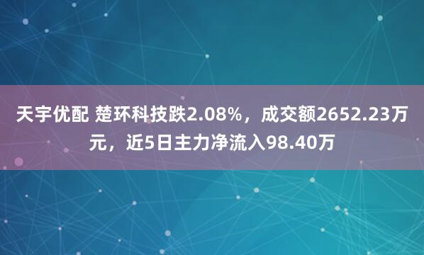 天宇优配 楚环科技跌2.08%，成交额2652.23万元，近5日主力净流入98.40万