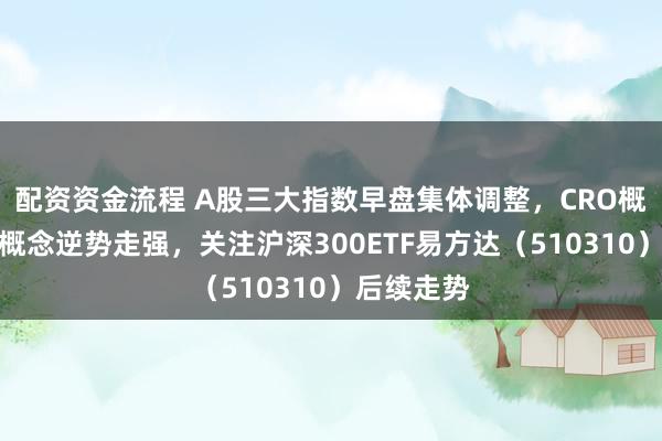 配资资金流程 A股三大指数早盘集体调整，CRO概念、粮食概念逆势走强，关注沪深300ETF易方达（510310）后续走势